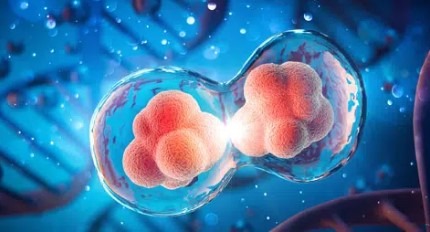 Screenshot 2025-11-24 111100.jpg